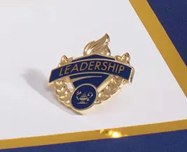 Award Pins