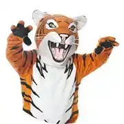 Mascot Costumes